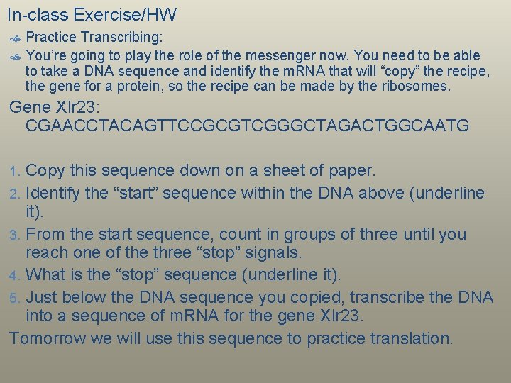 In-class Exercise/HW Practice Transcribing: You’re going to play the role of the messenger now.