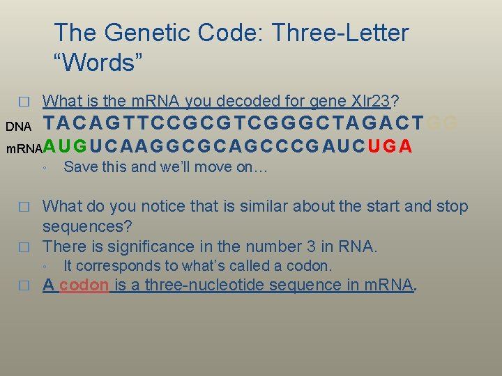 The Genetic Code: Three-Letter “Words” � DNA What is the m. RNA you decoded