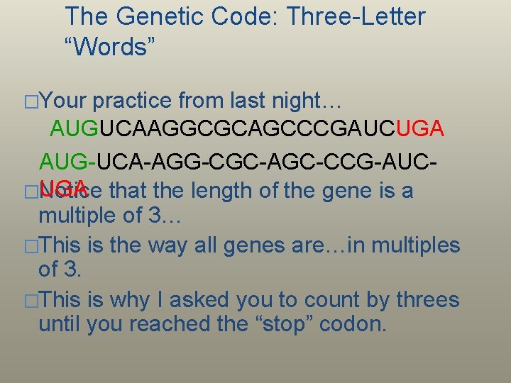 The Genetic Code: Three-Letter “Words” �Your practice from last night… AUGUCAAGGCGCAGCCCGAUCUGA AUG-UCA-AGG-CGC-AGC-CCG-AUCUGA that the