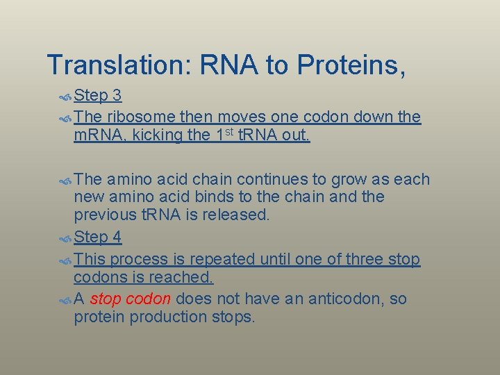 Translation: RNA to Proteins, Step 3 The ribosome then moves one codon down the