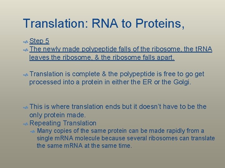 Translation: RNA to Proteins, Step 5 The newly made polypeptide falls of the ribosome,