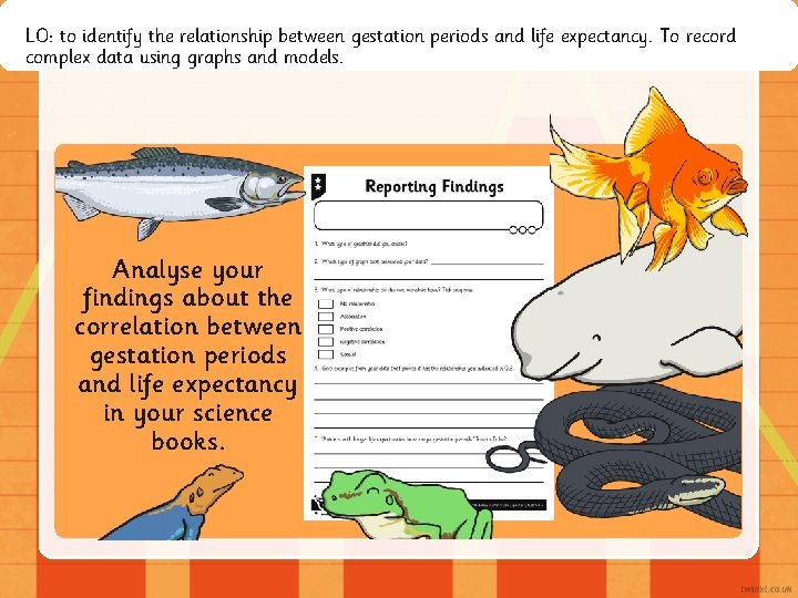 LO: to identify the relationship between gestation periods and life expectancy. To record complex