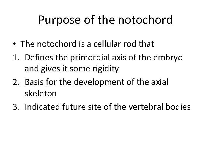 Purpose of the notochord • The notochord is a cellular rod that 1. Defines