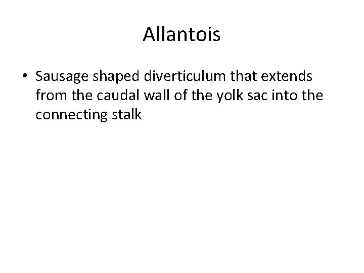 Allantois • Sausage shaped diverticulum that extends from the caudal wall of the yolk