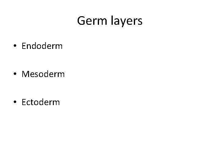 Germ layers • Endoderm • Mesoderm • Ectoderm 