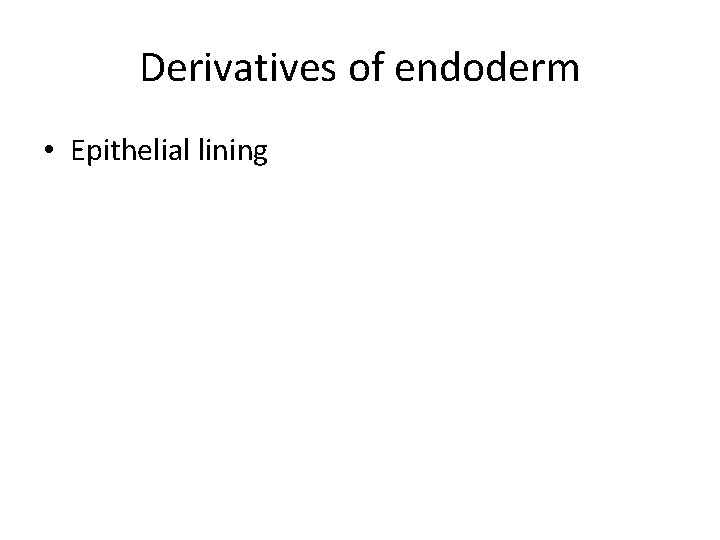 Derivatives of endoderm • Epithelial lining 