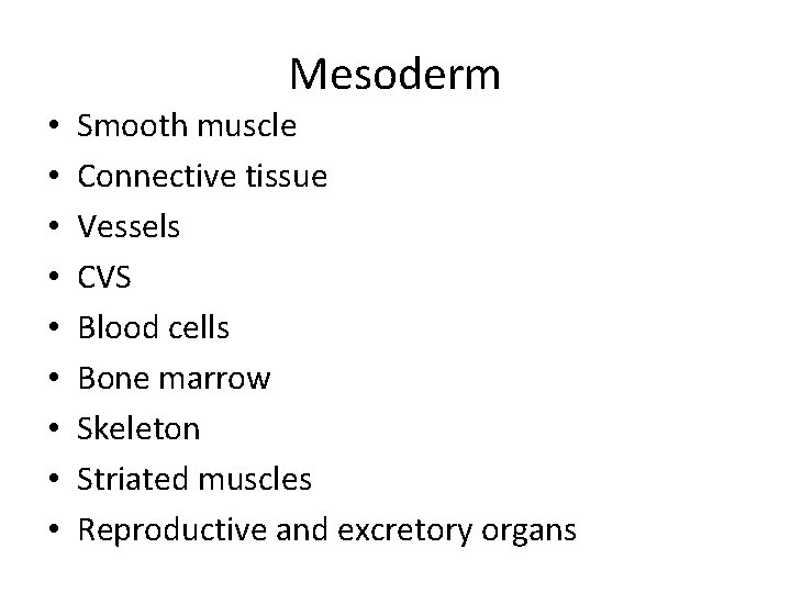 Mesoderm • • • Smooth muscle Connective tissue Vessels CVS Blood cells Bone marrow