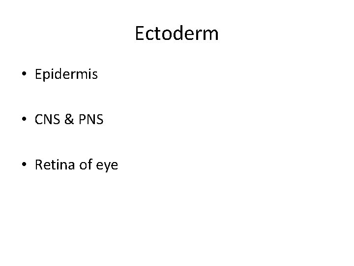 Ectoderm • Epidermis • CNS & PNS • Retina of eye 