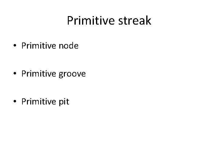 Primitive streak • Primitive node • Primitive groove • Primitive pit 