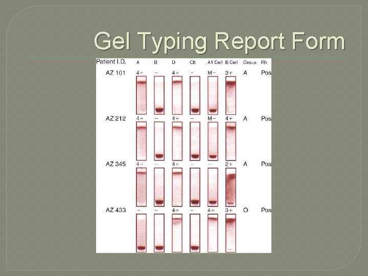 Gel Typing Report Form 