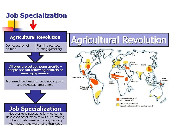 Job Specialization Agricultural Revolution Domestication of animals Farming replaces hunting-gathering Villages are settled permanently