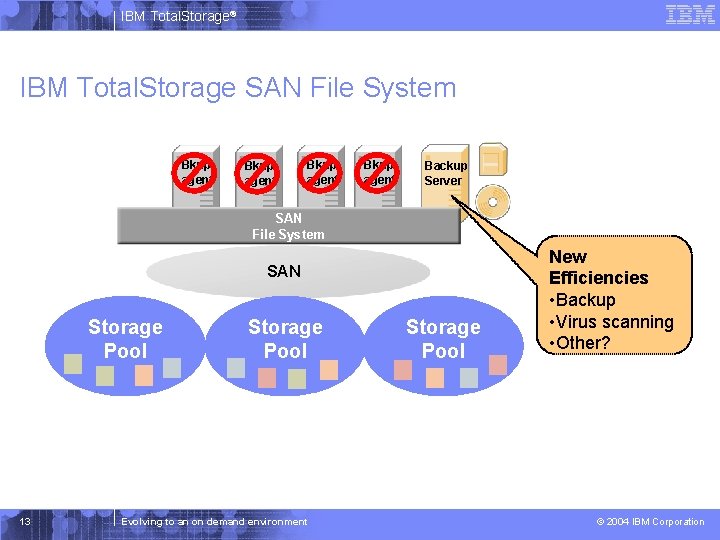 IBM Total. Storage® IBM Total. Storage SAN File System Bkup agent Backup Server SAN