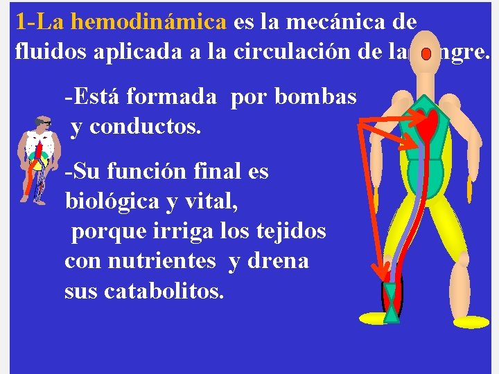 1 -La hemodinámica es la mecánica de fluidos aplicada a la circulación de la