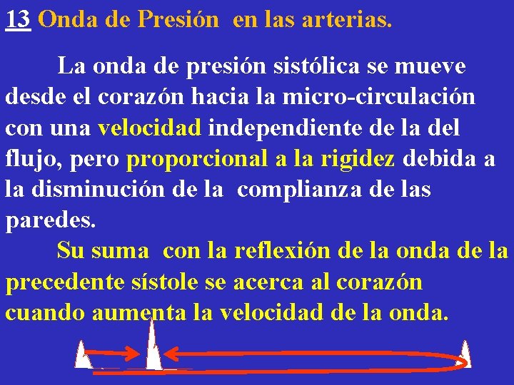 13 Onda de Presión en las arterias. La onda de presión sistólica se mueve