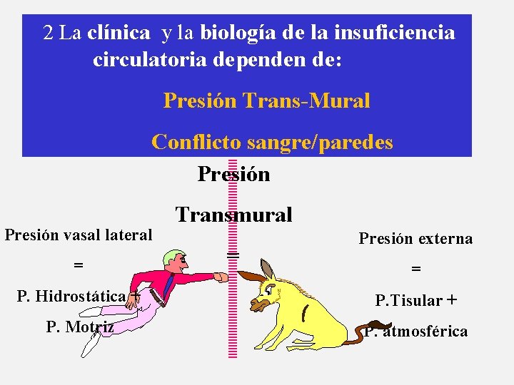 2 La clínica y la biología de la insuficiencia circulatoria dependen de: Presión Trans-Mural