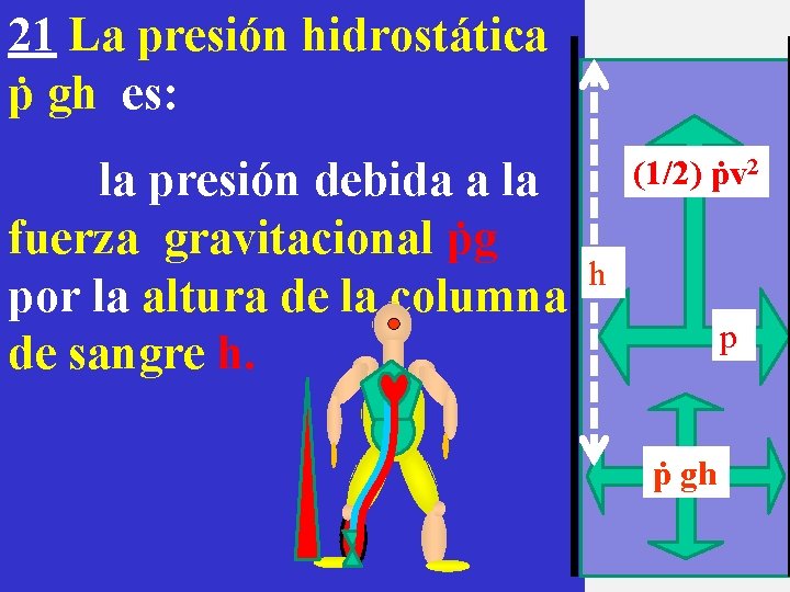 21 La presión hidrostática ṗ gh es: la presión debida a la fuerza gravitacional