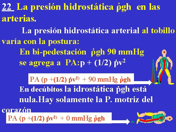 22 La presión hidrostática ῤgh en las arterias. La presión hidrostática arterial al tobillo