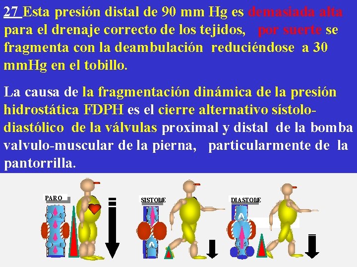 27 Esta presión distal de 90 mm Hg es demasiada alta para el drenaje