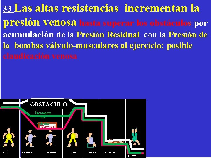 33 Las altas resistencias incrementan la presión venosa hasta superar los obstáculos por acumulación