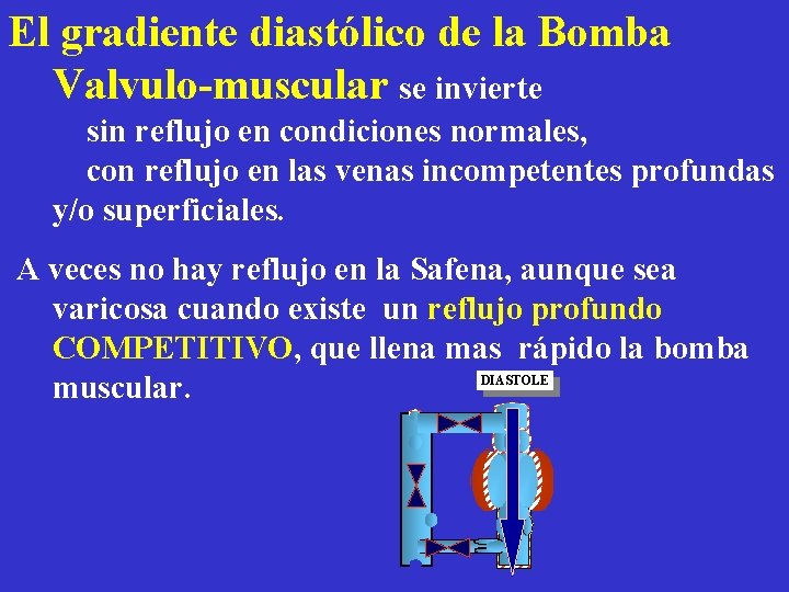 El gradiente diastólico de la Bomba Valvulo-muscular se invierte sin reflujo en condiciones normales,