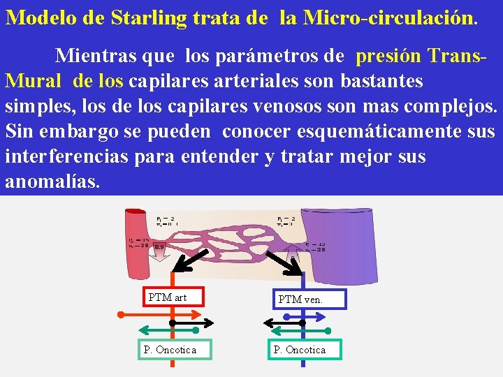 Modelo de Starling trata de la Micro-circulación. Mientras que los parámetros de presión Trans.