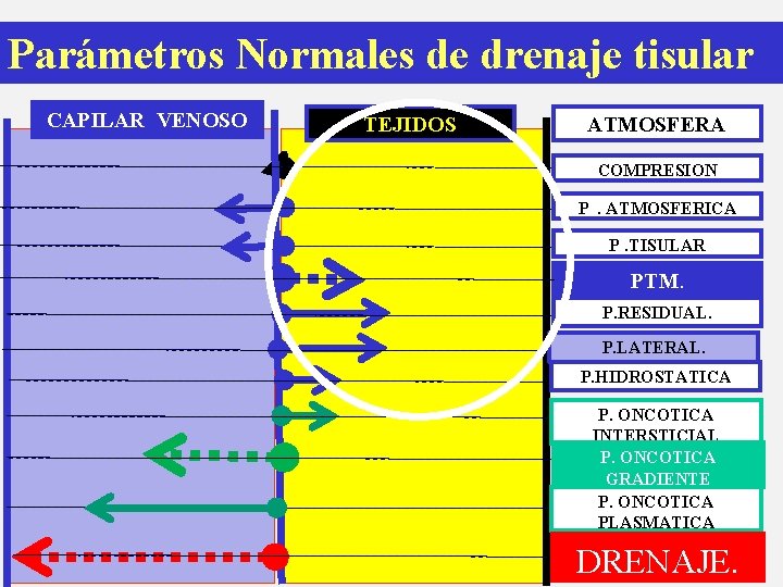 Parámetros Normales de drenaje tisular CAPILAR VENOSO TEJIDOS ATMOSFERA COMPRESION P. ATMOSFERICA P. TISULAR