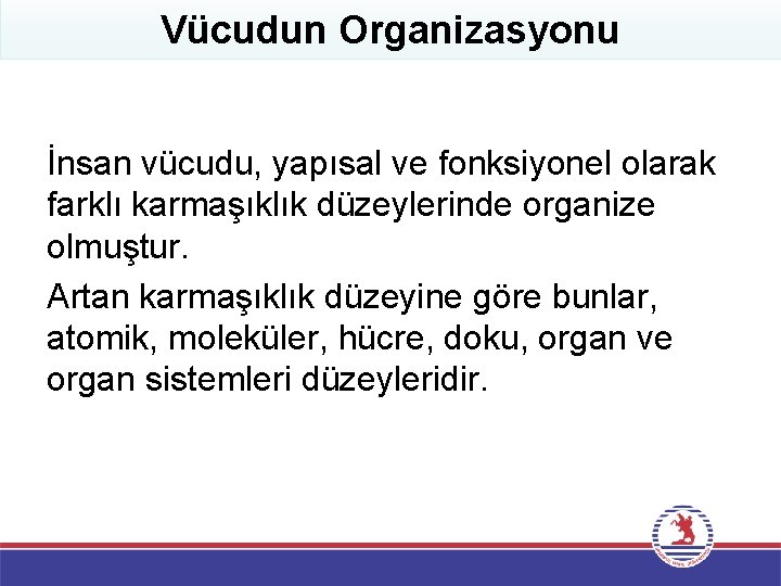 Vücudun Organizasyonu İnsan vücudu, yapısal ve fonksiyonel olarak farklı karmaşıklık düzeylerinde organize olmuştur. Artan