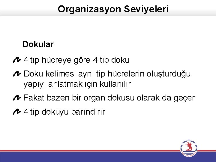 Organizasyon Seviyeleri Dokular 4 tip hücreye göre 4 tip doku Doku kelimesi aynı tip