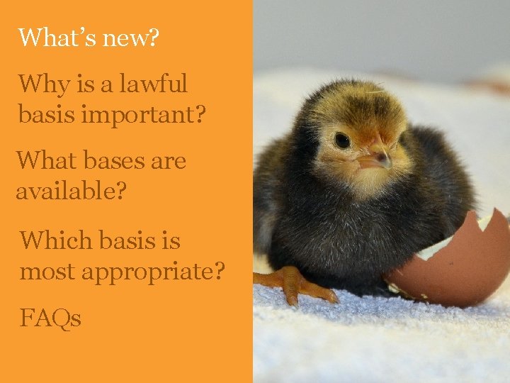 What’s new? Why is a lawful basis important? What bases are available? Which basis