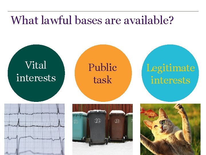 What lawful bases are available? Vital interests Public task Legitimate interests 