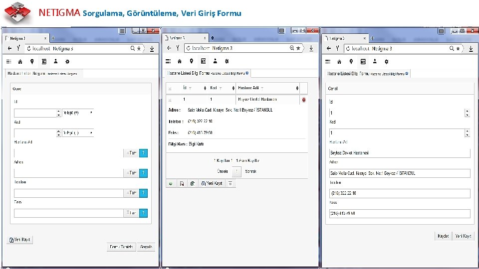 NETIGMA Sorgulama, Görüntüleme, Veri Giriş Formu 