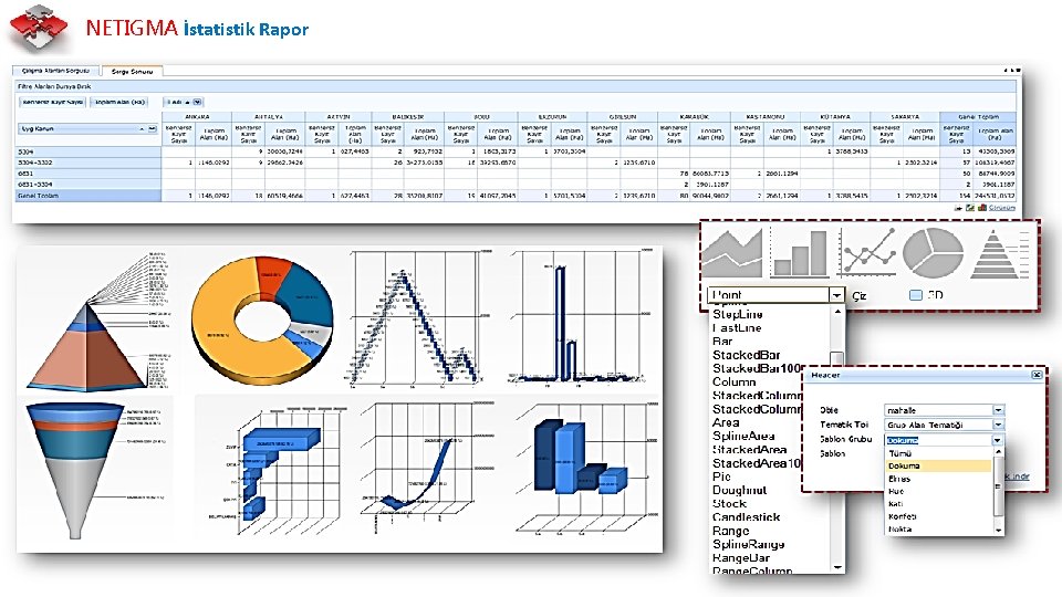 NETIGMA İstatistik Rapor 