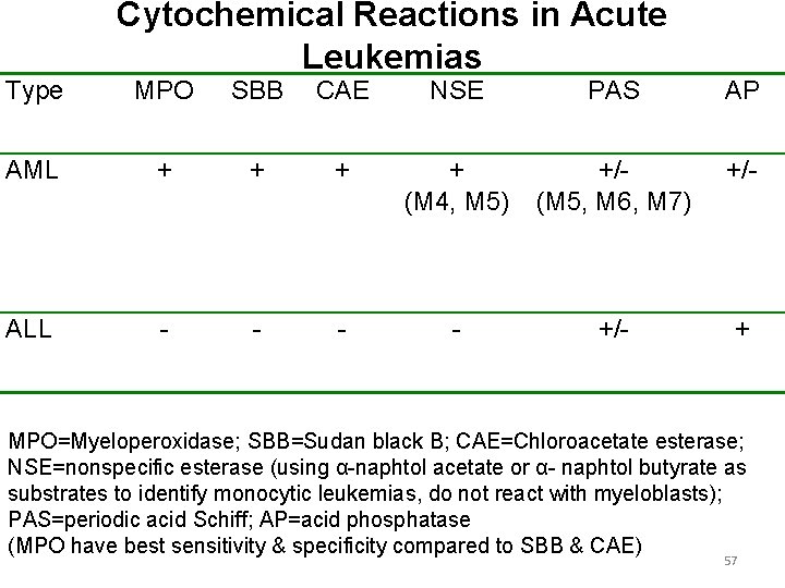 Type Cytochemical Reactions in Acute Leukemias MPO SBB CAE NSE PAS AP AML +