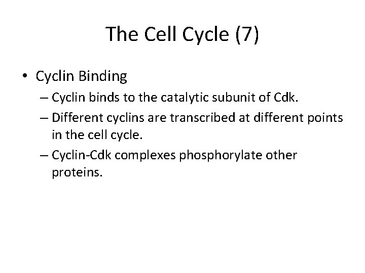 The Cell Cycle (7) • Cyclin Binding – Cyclin binds to the catalytic subunit