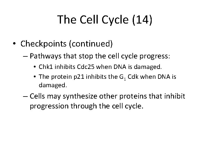 The Cell Cycle (14) • Checkpoints (continued) – Pathways that stop the cell cycle