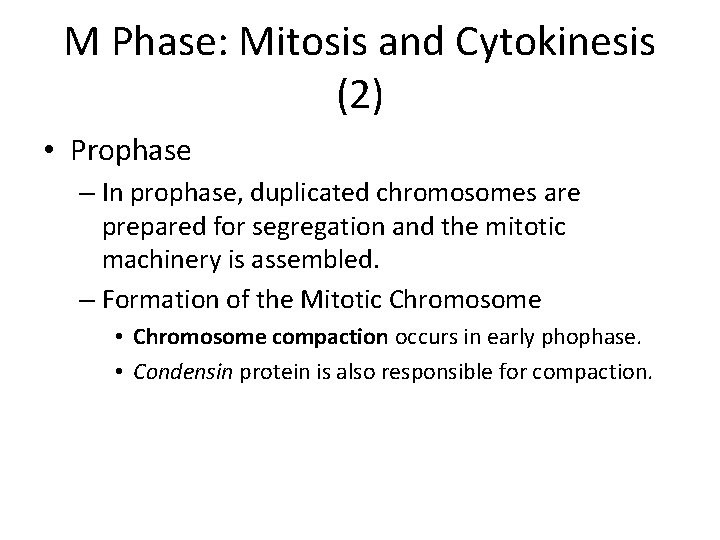 M Phase: Mitosis and Cytokinesis (2) • Prophase – In prophase, duplicated chromosomes are