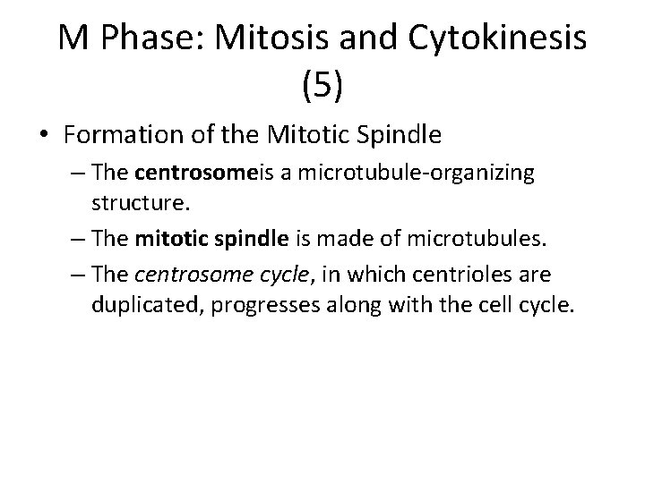 M Phase: Mitosis and Cytokinesis (5) • Formation of the Mitotic Spindle – The