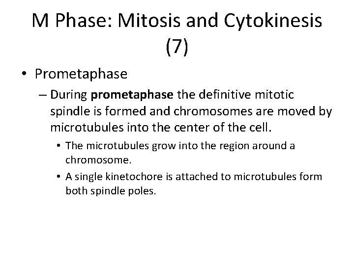 M Phase: Mitosis and Cytokinesis (7) • Prometaphase – During prometaphase the definitive mitotic