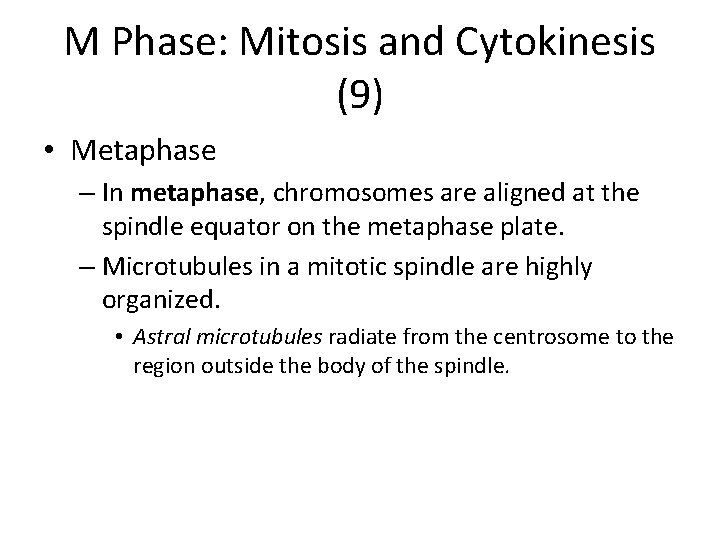 M Phase: Mitosis and Cytokinesis (9) • Metaphase – In metaphase, chromosomes are aligned