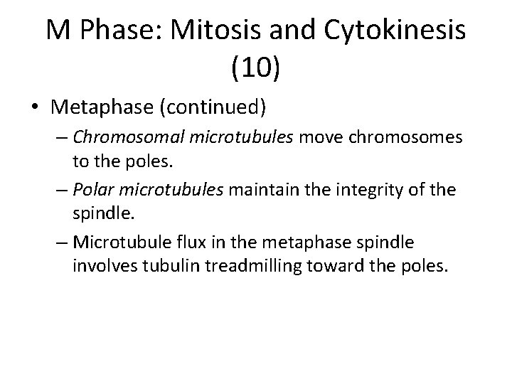 M Phase: Mitosis and Cytokinesis (10) • Metaphase (continued) – Chromosomal microtubules move chromosomes