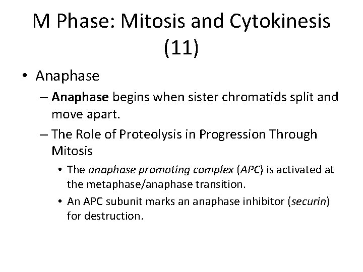 M Phase: Mitosis and Cytokinesis (11) • Anaphase – Anaphase begins when sister chromatids