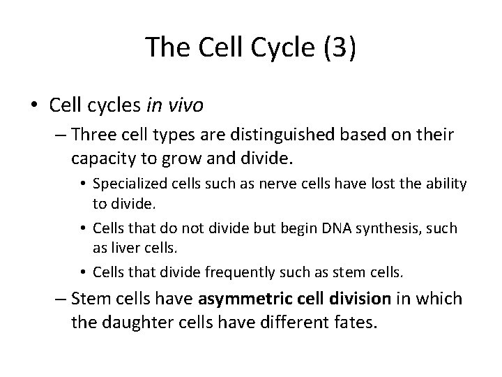 The Cell Cycle (3) • Cell cycles in vivo – Three cell types are