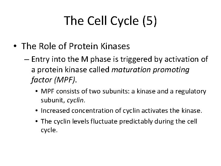 The Cell Cycle (5) • The Role of Protein Kinases – Entry into the