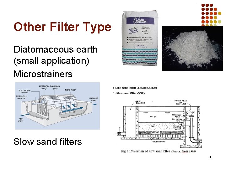 Other Filter Types Diatomaceous earth (small application) Microstrainers Slow sand filters 30 