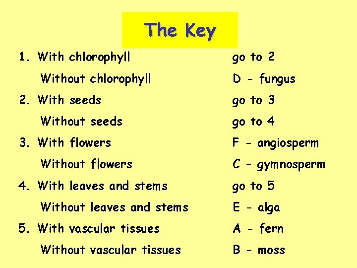 Identification Key A biological key provides a rapid