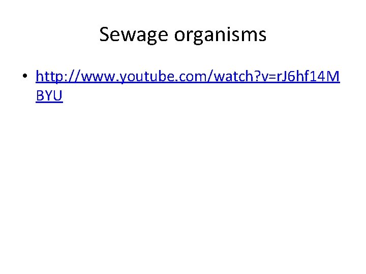 Sewage organisms • http: //www. youtube. com/watch? v=r. J 6 hf 14 M BYU