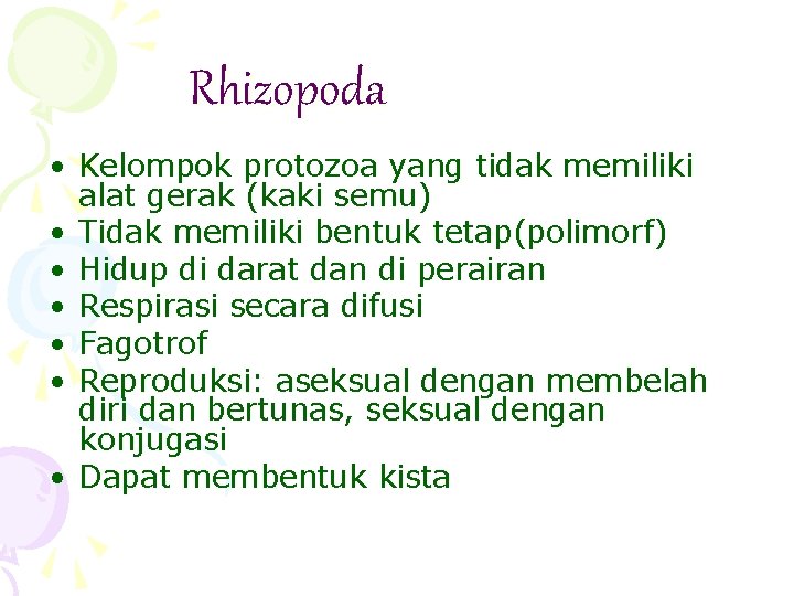 Rhizopoda • Kelompok protozoa yang tidak memiliki alat gerak (kaki semu) • Tidak memiliki