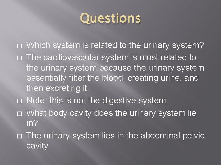 Questions � � � Which system is related to the urinary system? The cardiovascular Questions � � � Which system is related to the urinary system? The cardiovascular