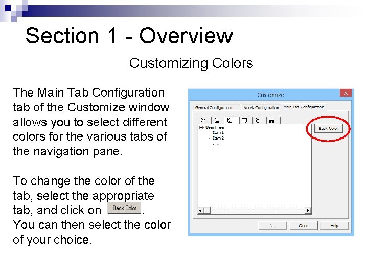 Section 1 - Overview Customizing Colors The Main Tab Configuration tab of the Customize