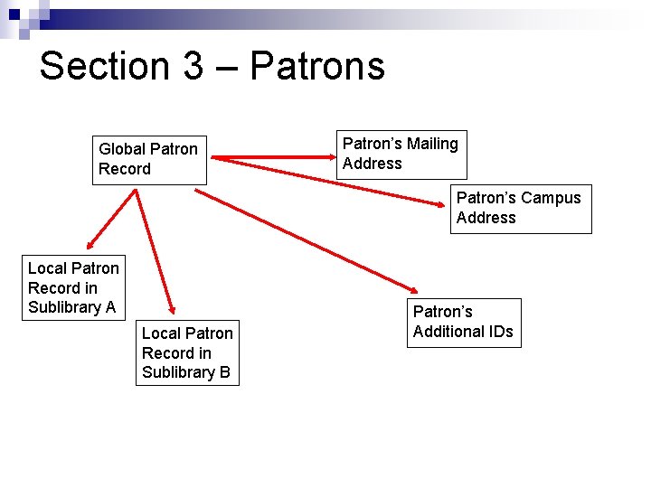 Section 3 – Patrons Global Patron Record Patron’s Mailing Address Patron’s Campus Address Local